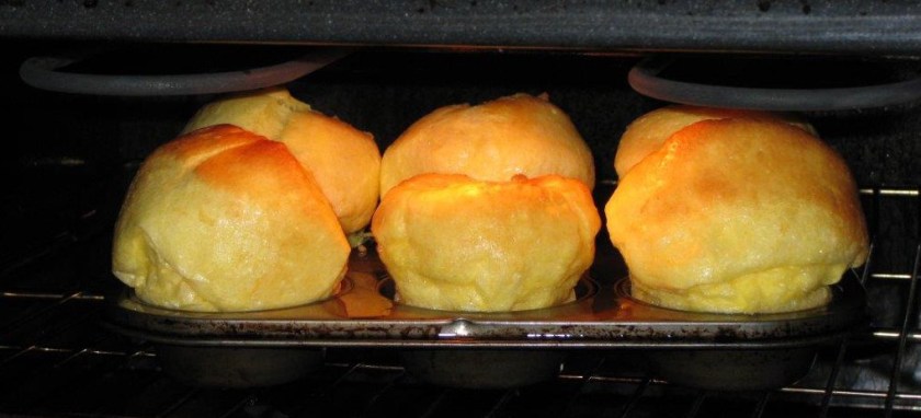 Yorkies