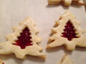 tree cookie