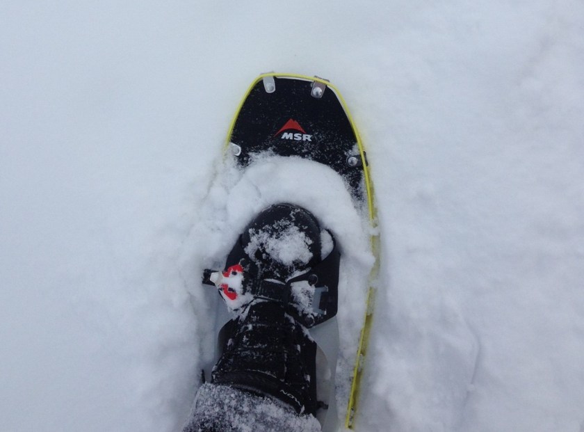 snowshoes2