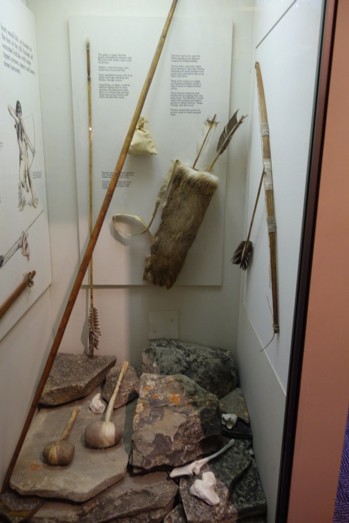 Head Smashed In Buffalo Jump 204