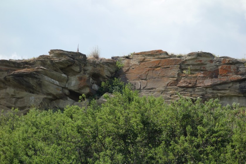 Head Smashed In Buffalo Jump 261