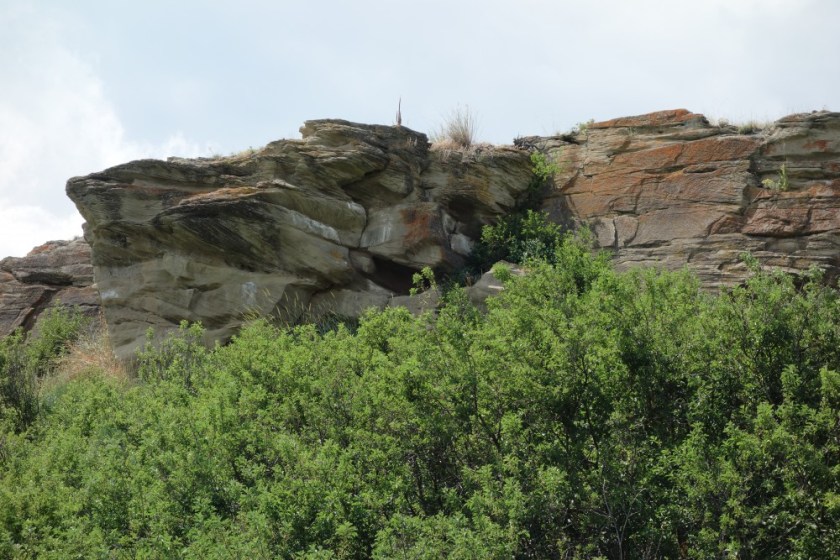 Head Smashed In Buffalo Jump 262