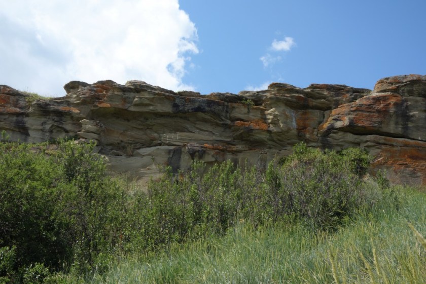 Head Smashed In Buffalo Jump 266